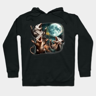 Three Opossum Moon 3 Possum Full Weird Magic Meme Hoodie